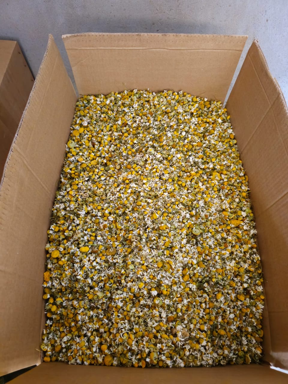 Harvest Season