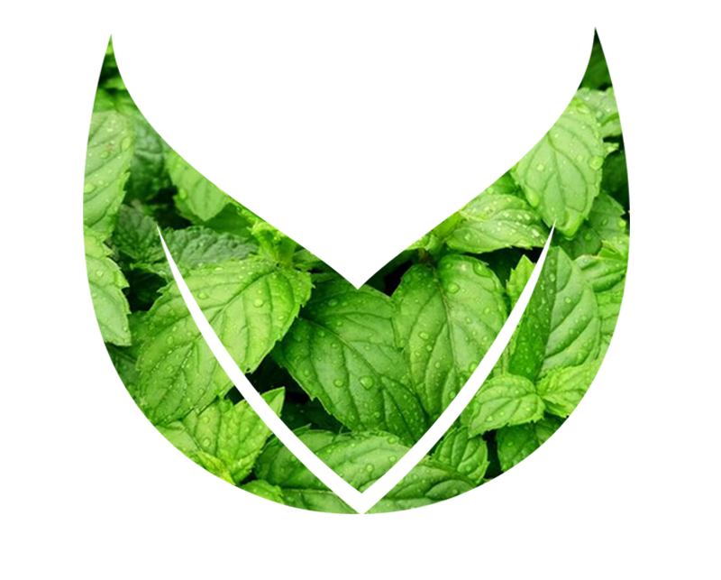 Peppermint
