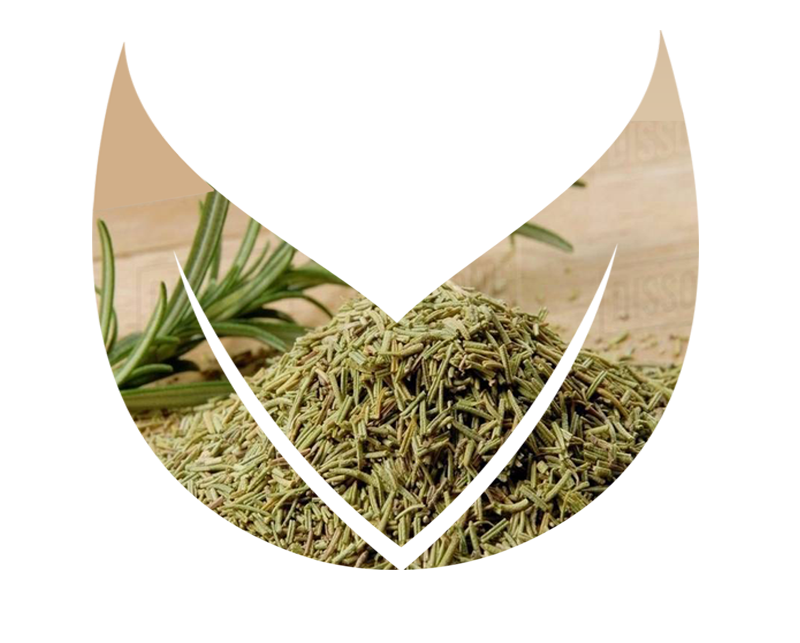 Rosemary